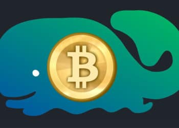Bitcoin veľryba - Whale