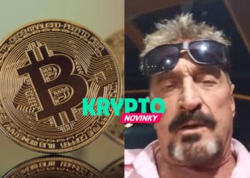 McAfee, Bitcoin