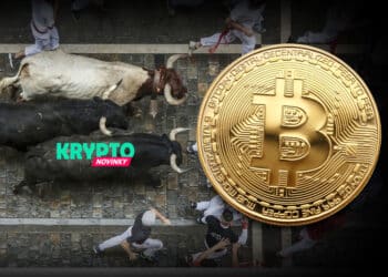 Bitcoin bullrun