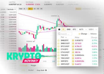 Binance margin