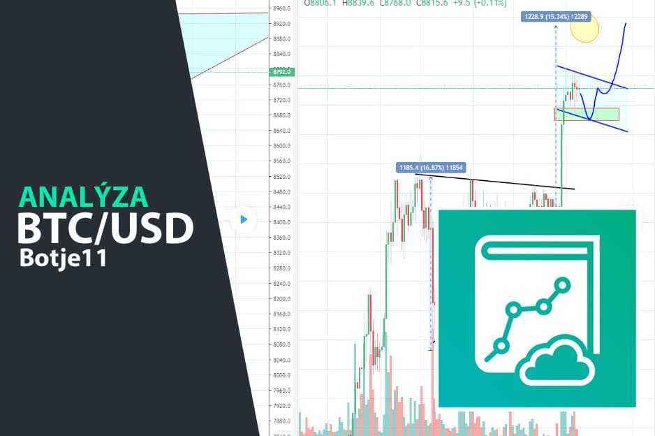 botje-analyza-bitcoin