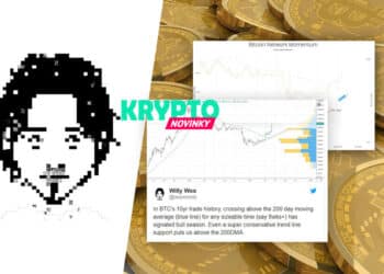 Willy Woo Bitcoin