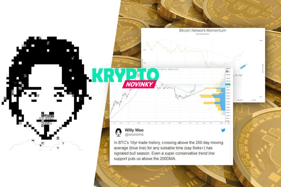 Willy Woo Bitcoin