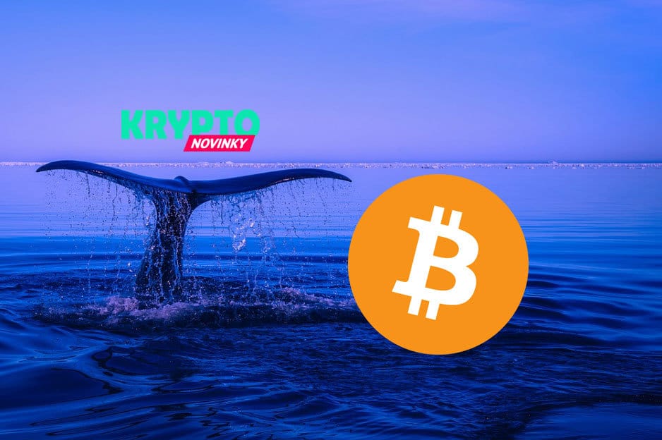 Bitcoin veľryba