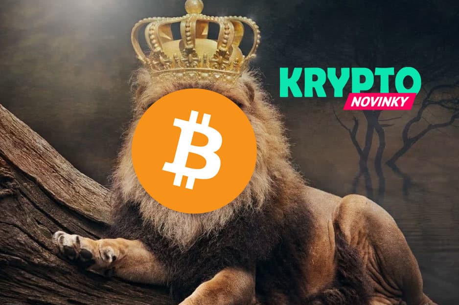 Bitcoin kráľ