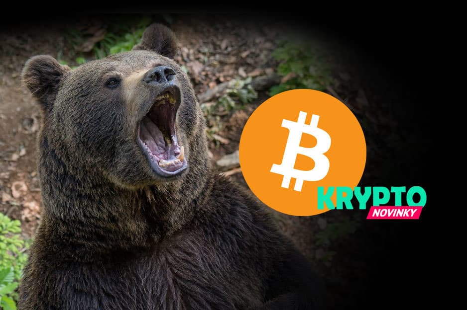 Bitcoin medveď