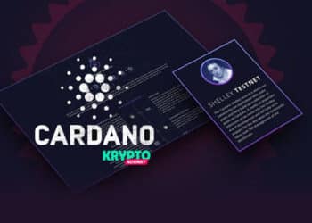 Cardano shelley