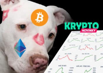 Bitcoin adopcia