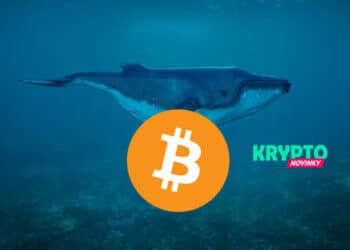 Bitcoin veľryba