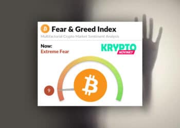fear