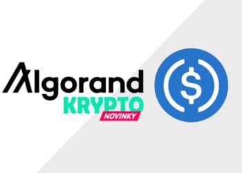 Algorand USDC