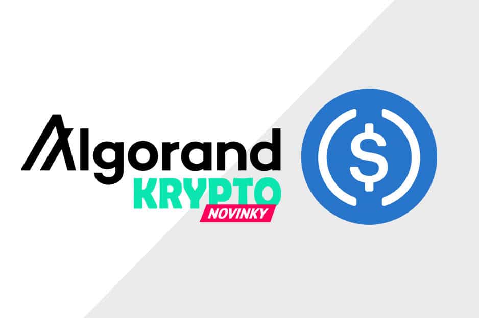 Algorand USDC
