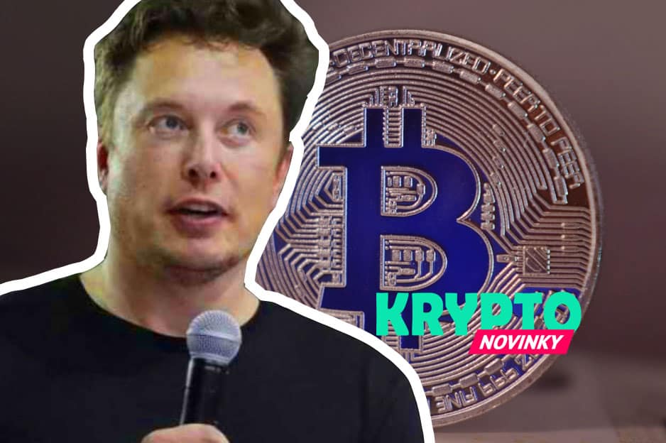 Bitcoin Elon Musk
