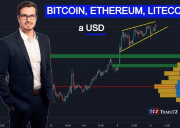 Analýza (16.2.): Bitcoin, Ethereum, Litecoin, USD a sentiment na trzích