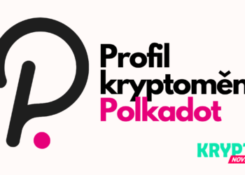 Profil Polkadot CZ