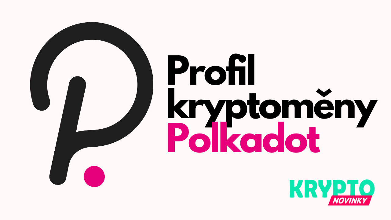 Profil Polkadot CZ