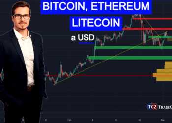 Analýza (2.3.): Bitcoin, Ethereum, Litecoin, dolar a sentiment na trzích