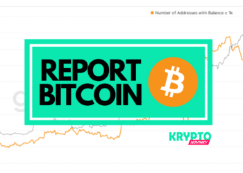 bitcoin onchain report