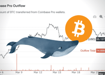 veľryba Bitcoin