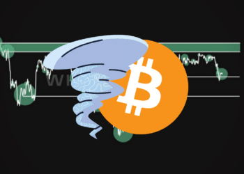 Bitcoin whalepam