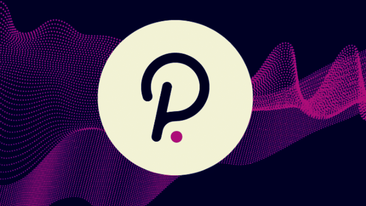 polkadot