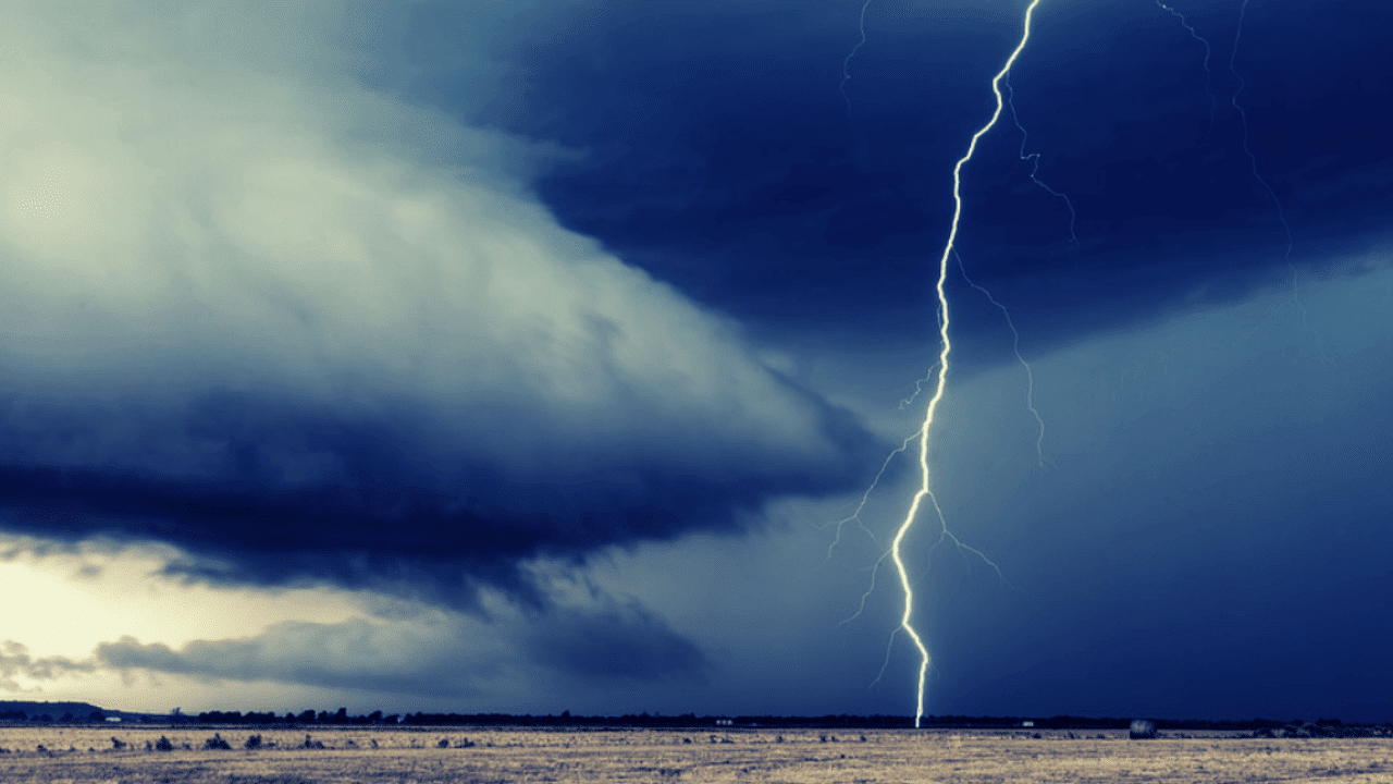 Lightning Network
