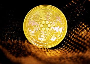 Cardano