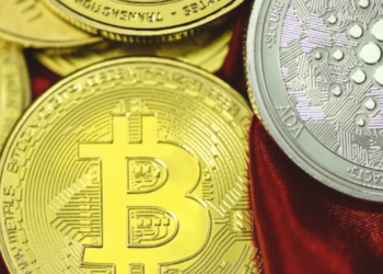 cardano bitcoin