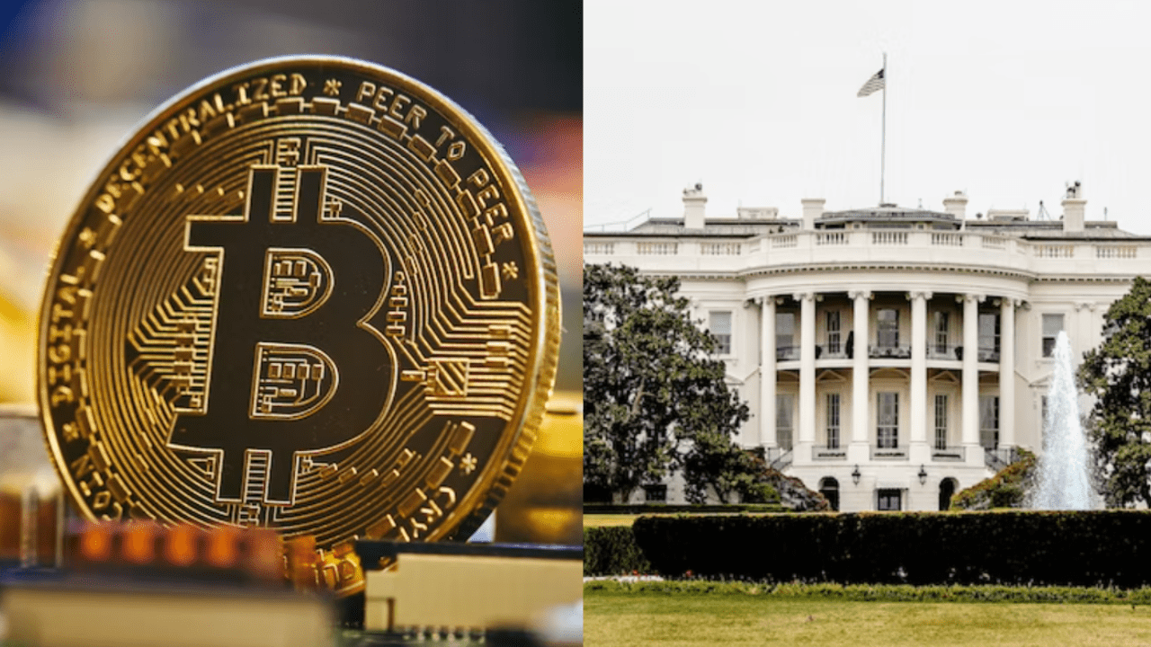 bitcoin biely dom