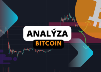 btc (7)