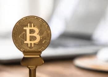 Google Trends: Bitcoin zvítězil nad Donaldem Trumpem!