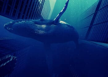 Kryptonovinky (22.6.): Velryby ve velkém akumulují bitcoiny, hlásí analytická platforma!