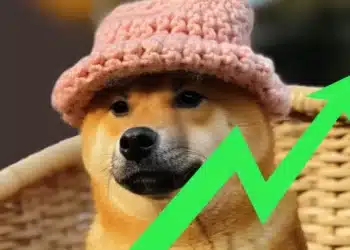 dogwithat