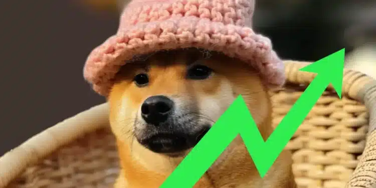 dogwithat