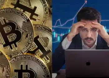 Bitcoin investor
