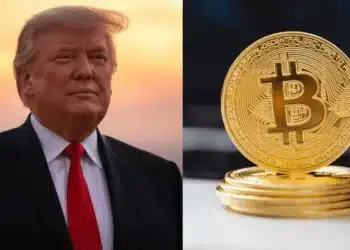 Donald Trump a Bitcoin