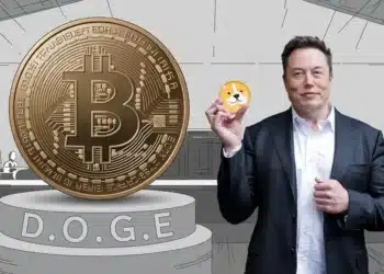 Bitcoin, DOGE a Elon Musk