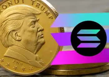 Solana Donald Trump