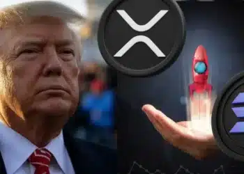 Donald Trump a kryptomeny Solana a XRP