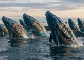 Crypto whales