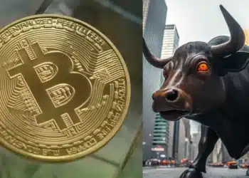 Bitcoin a býk