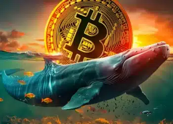 Bitcoin veľryba