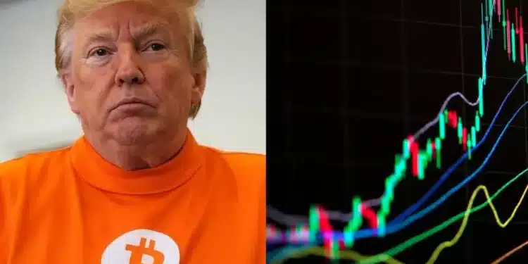 Donald Trump a rast
