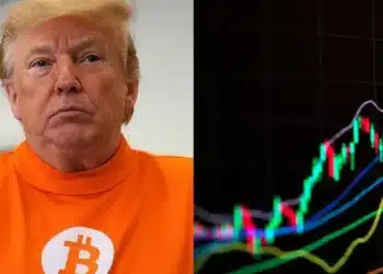 Donald Trump a rast