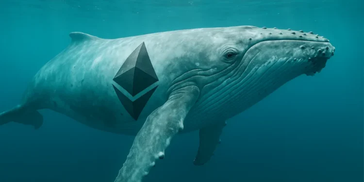 Ethereum veľryba