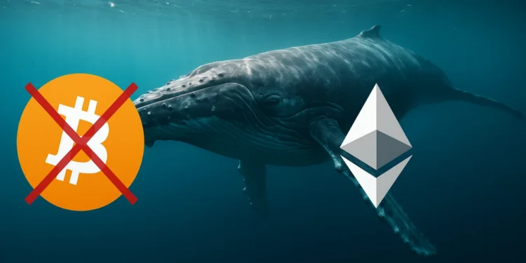 Veľryba Ethereum Bitcoin