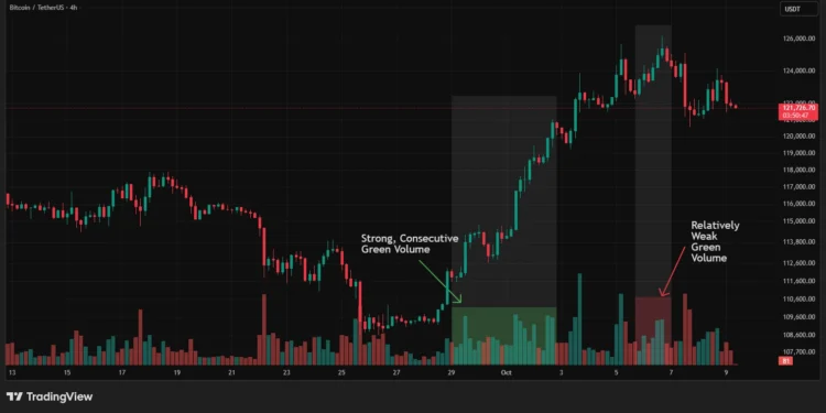 bitcoin_tetherus_daily_chart