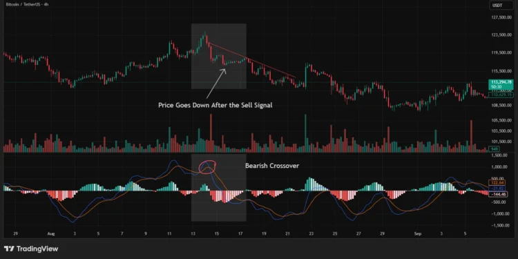 macd_tradingview_3