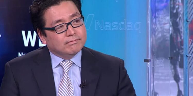 Tom Lee