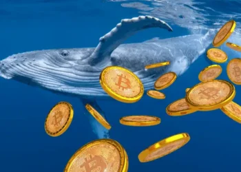 Bitcoin veľryby